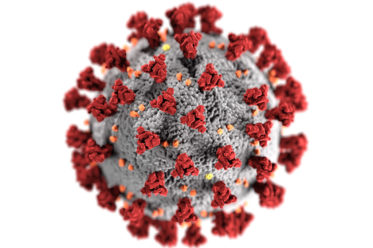 Public Domain / Quelle Centers for Disease Control and Prevention / Alissa Eckert, MS; Dan Higgins, MAMS