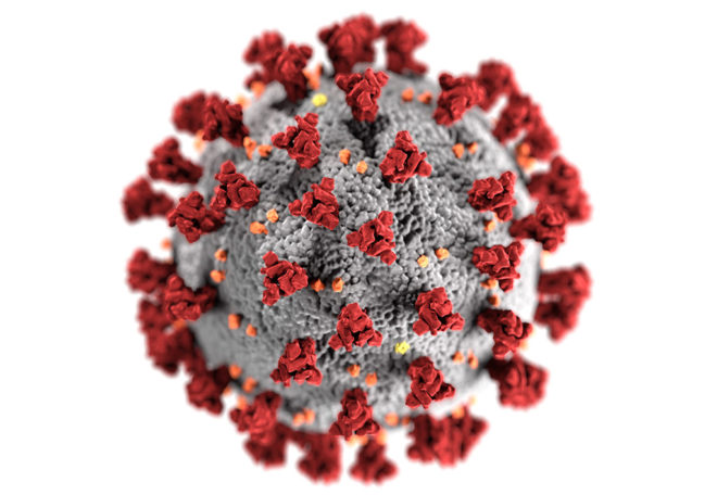 Public Domain / Quelle Centers for Disease Control and Prevention / Alissa Eckert, MS; Dan Higgins, MAMS