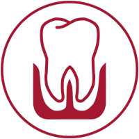 Icon Paradontologie