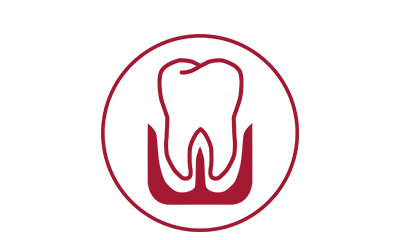 Icon Paradontologie